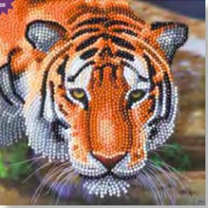 Diamond Painting - Grusskarte Tiger