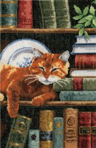 Bild zum Sticken - Katze im Bücherregal