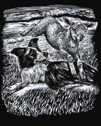 Kratzbild Silber Hund und Schaf