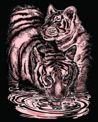 Kratzbild Kupfer Tiger