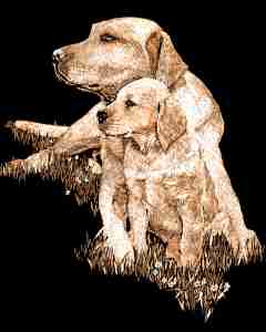 Kratzbild Kupfer gross - Hunde