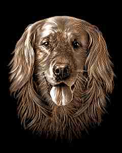 Kratzbild Kupfer klein mit Rahmen - Hundekopf
