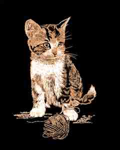 Kratzbild Kupfer klein mit Rahmen - Katze mit Wollknäuel