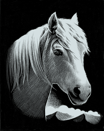 Kratzbild Silber mit Rahmen Pferdekopf