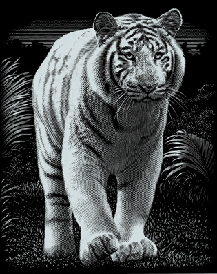 Kratzbild Silber Tiger