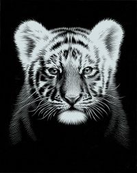 Kratzbild Silber Mini Tigerbaby