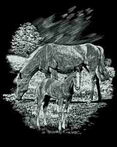 Kratzbild Silber Zwei Pferde