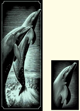 Kratzbild Silber Longstyle Delfine